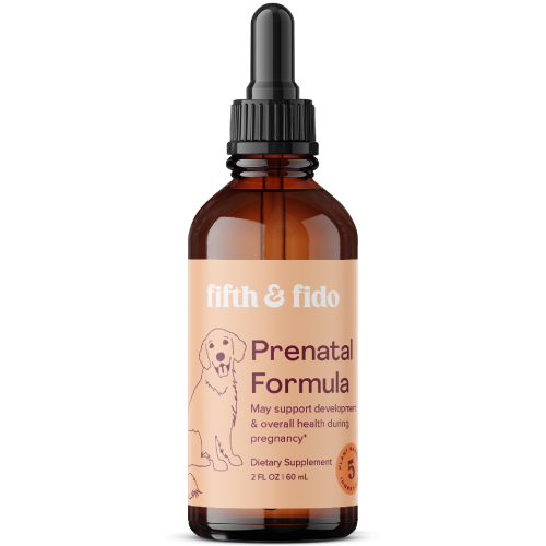 Prenatal Vitamin