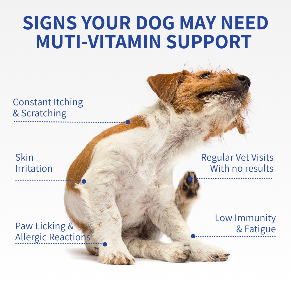 Daily 8 Dog Allergy Chews