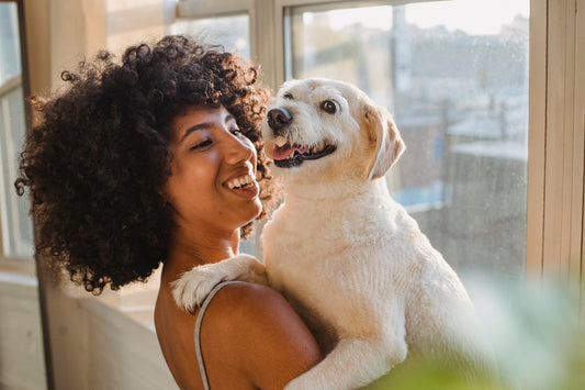 The Power of Turkey Tail Mushroom and Probiotics in Dog Health - Fifth & Fido Bark Digest