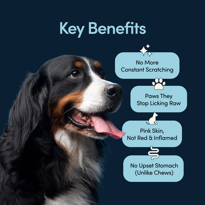 Scratch Buddy – Allergy & Itch Relief Food Topper for Dogs & Cats