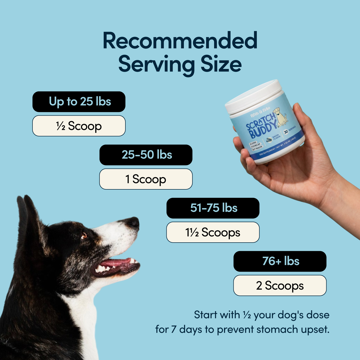 Scratch Buddy – Allergy & Itch Relief Food Topper for Dogs & Cats