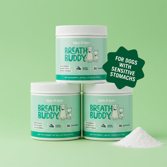 Breath Buddy Dental Powder