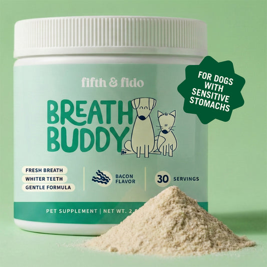 Breath Buddy Dental Powder