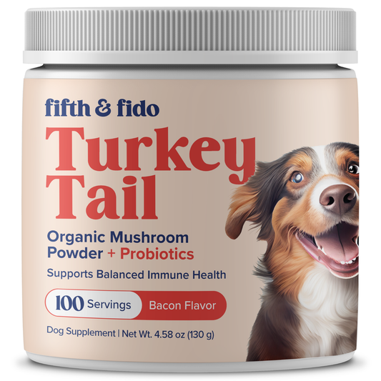 Turkey Tail Mushroom + Probiotics