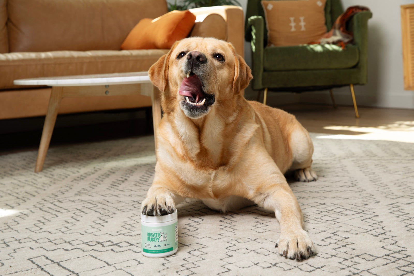 Golden retriever lying on floor with Breath Buddy jar, tongue out and happy