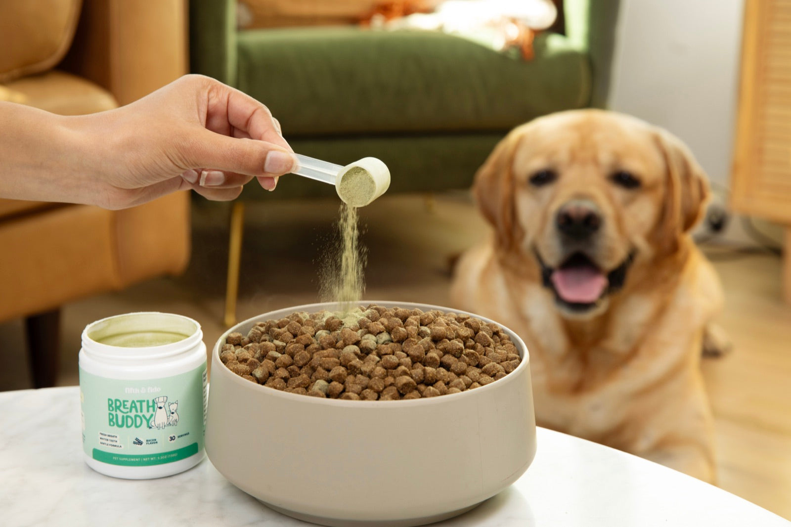Hand sprinkling Breath Buddy powder from scoop onto a bowl of dog kibble with lab watching