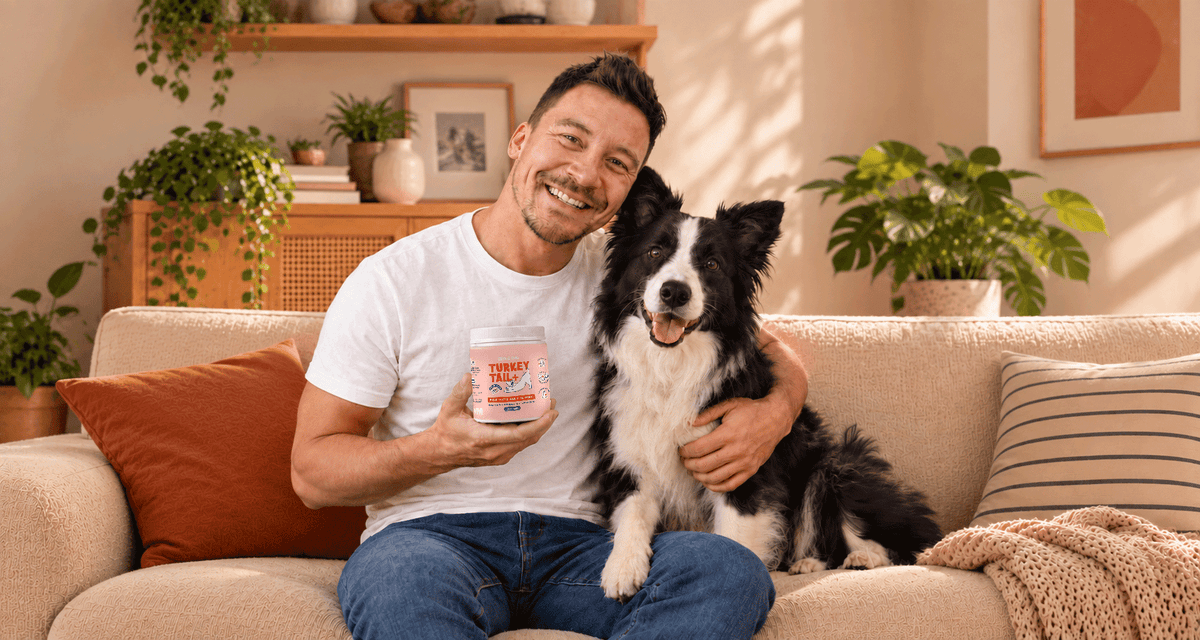 Man holding a jar of Turkey Tail+ Chicken Flavor next to his border collie