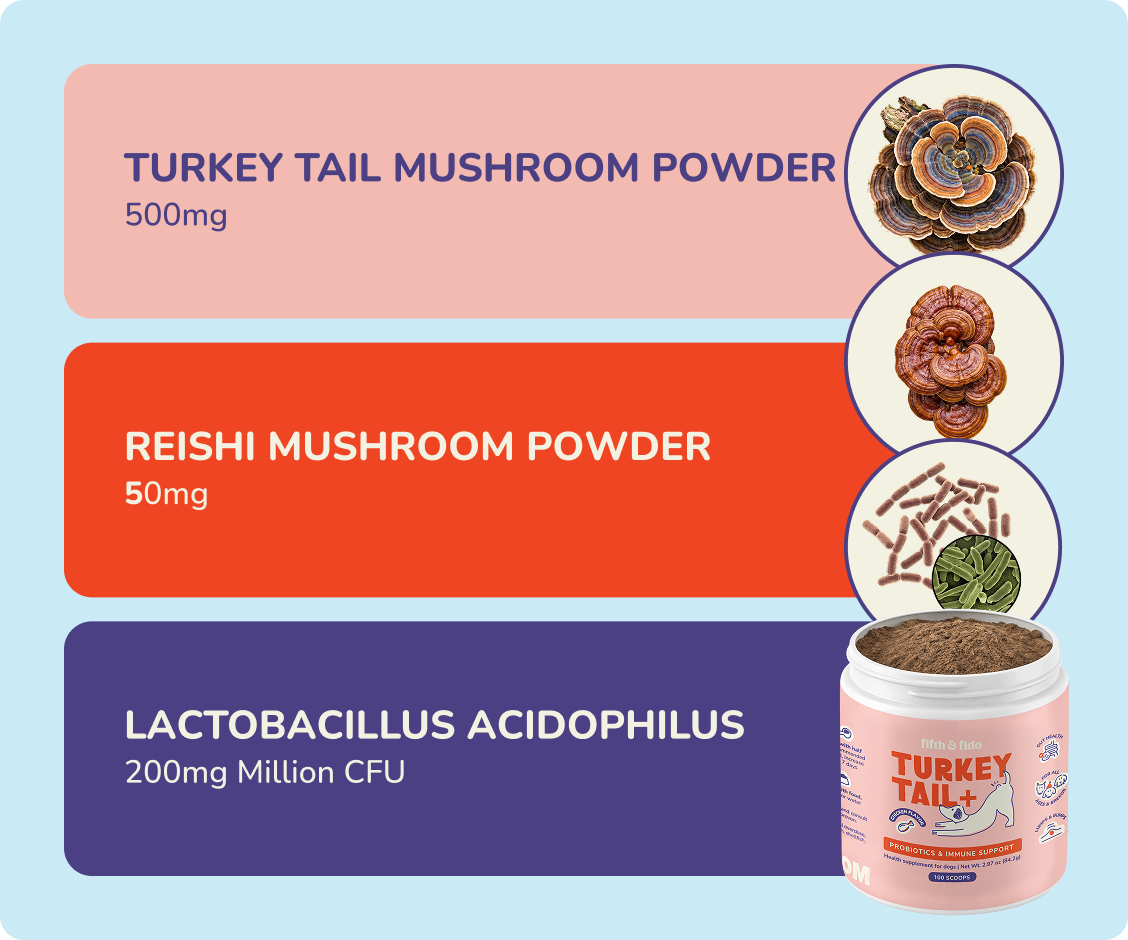 Turkey Tail+ ingredients: turkey tail, reishi, Lactobacillus acidophilus