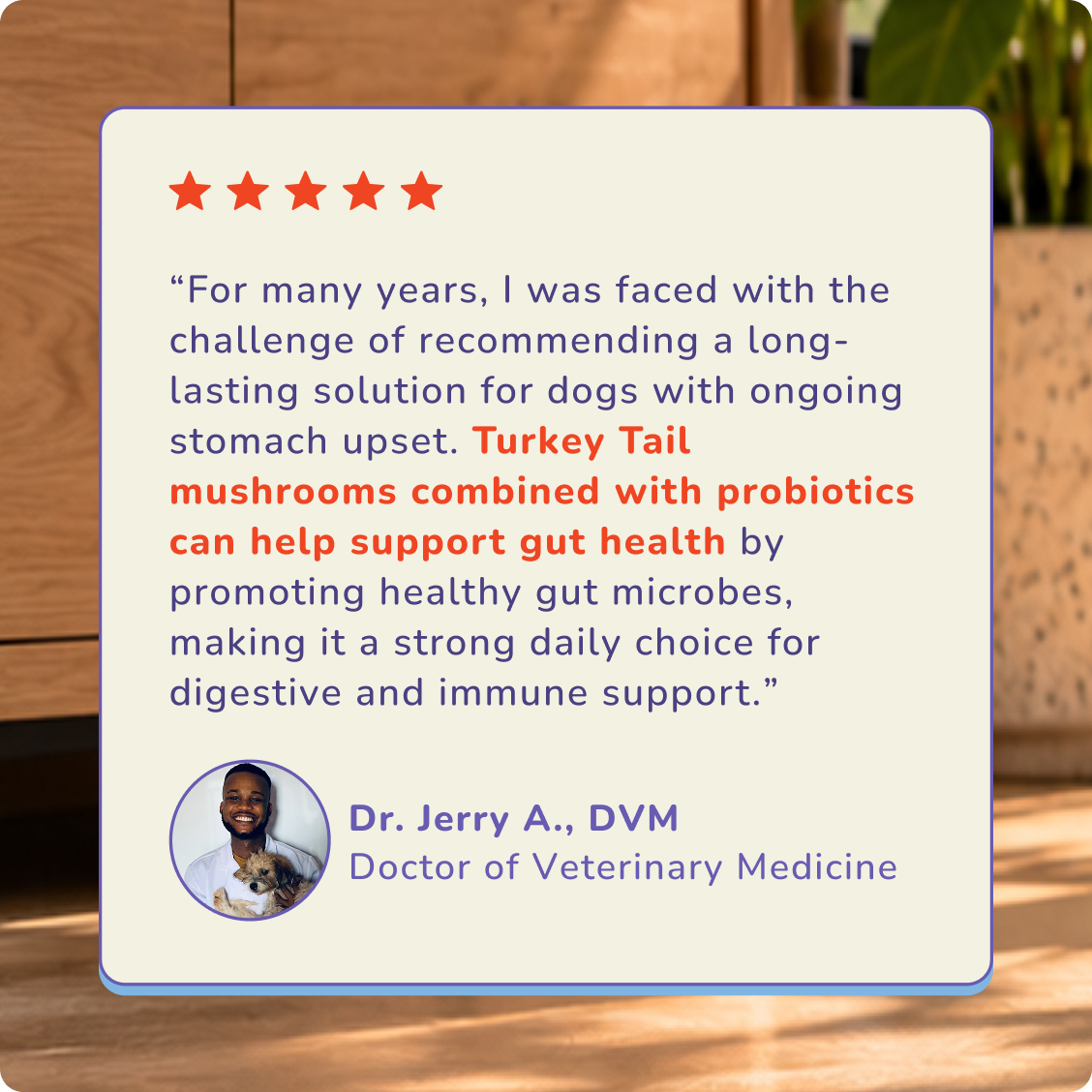 Holistic veterinarian quote about Turkey Tail and probiotics