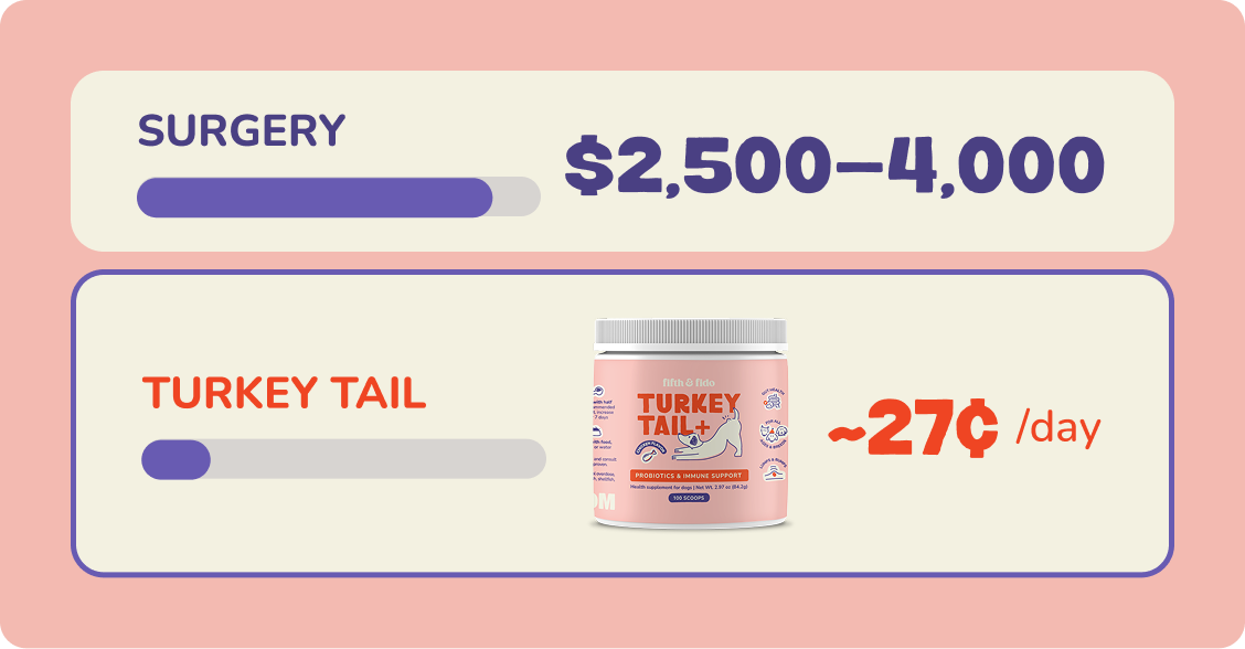 Cost comparison: surgery versus Turkey Tail+ per day