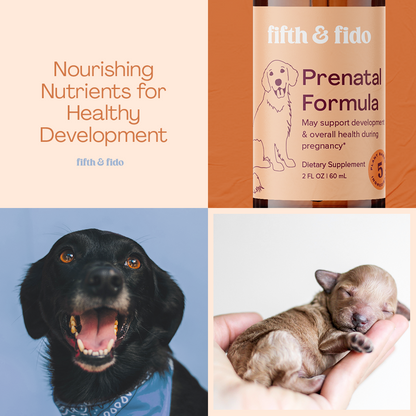 Prenatal vitamins for dogs deals